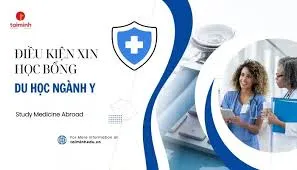 cách xin học bổng ngành y tại pháp​