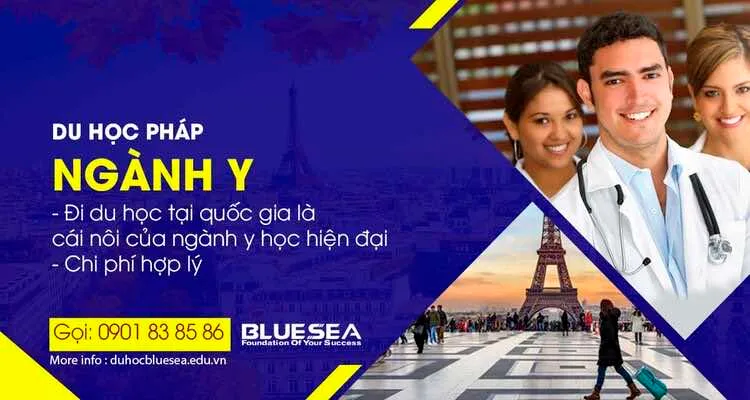 Hồ Sơ Xin Học Bổng Ngành Y Tại Pháp
