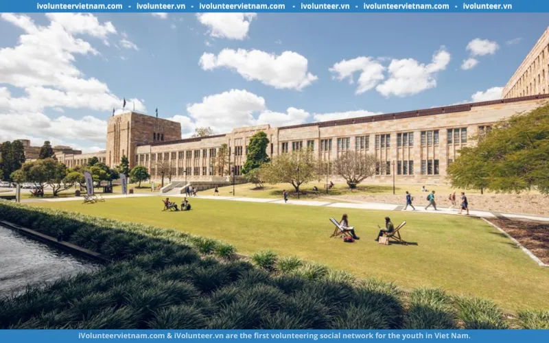 Viết Bài Luận Cá Nhân Thuyết Phục